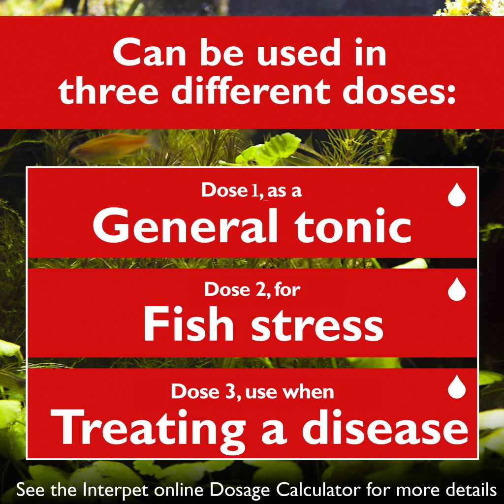 Interpet 265g Aqualibrium First Aid Salt