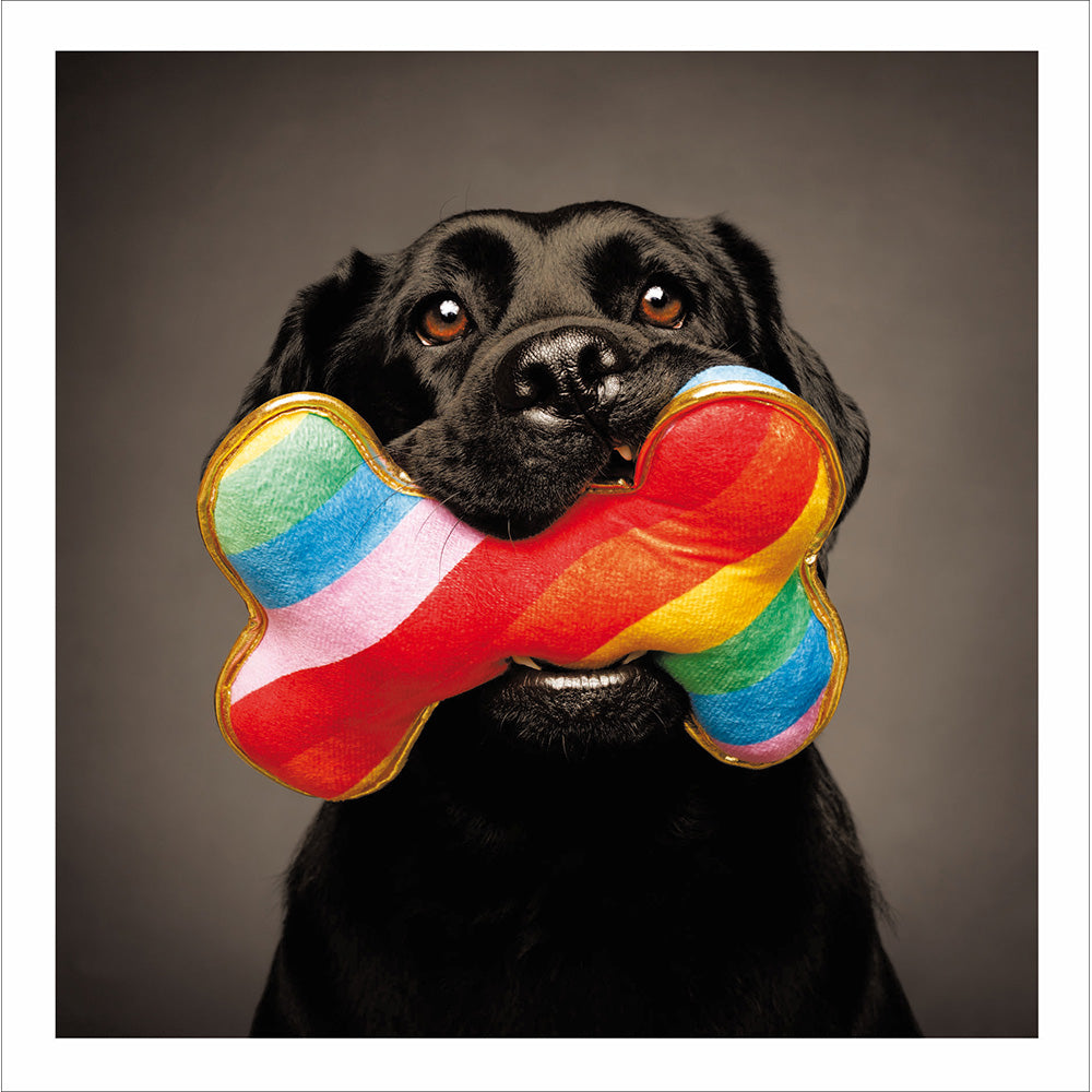 Woodmansterne Black Labrador with Rainbow Bone Blank Card