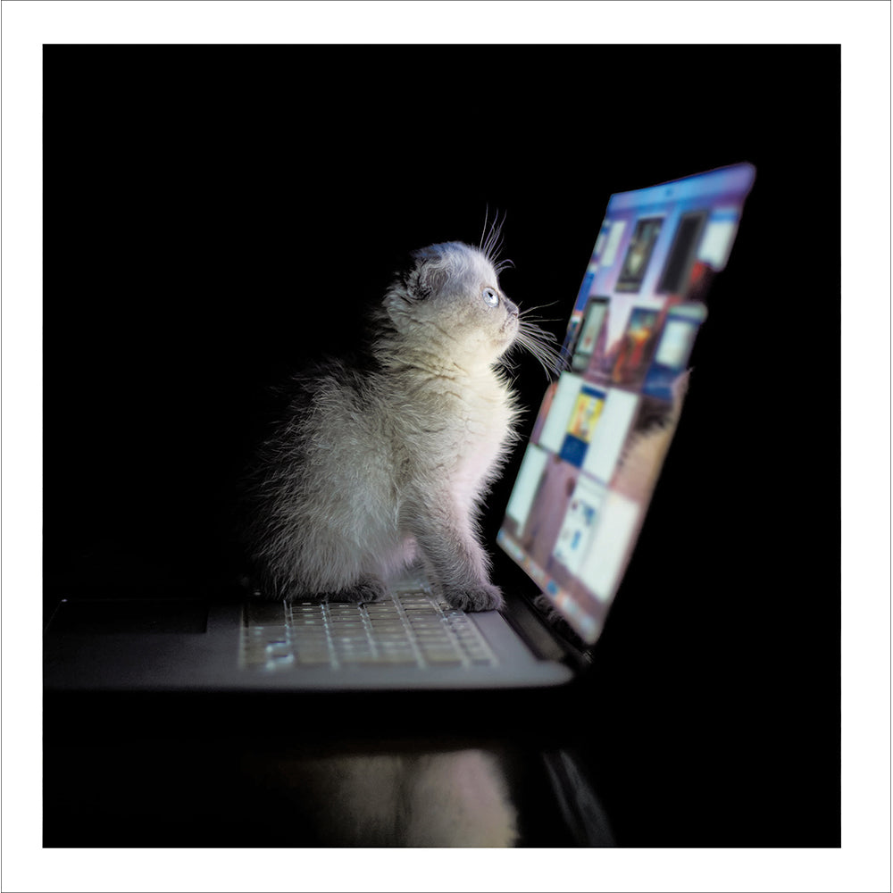 Woodmansterne Grey Kitten on Laptop Blank Card