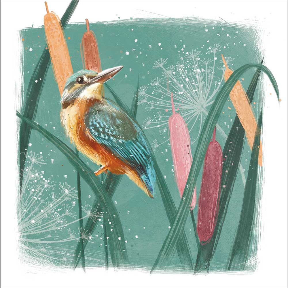 Woodmansterne Kingfisher Bird Blank Card
