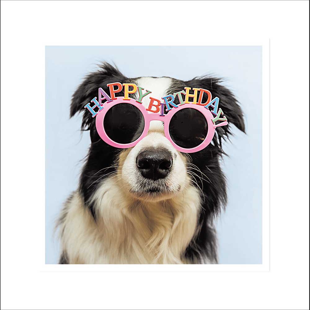 Woodmansterne Party Pup Sheepdog Blank Card