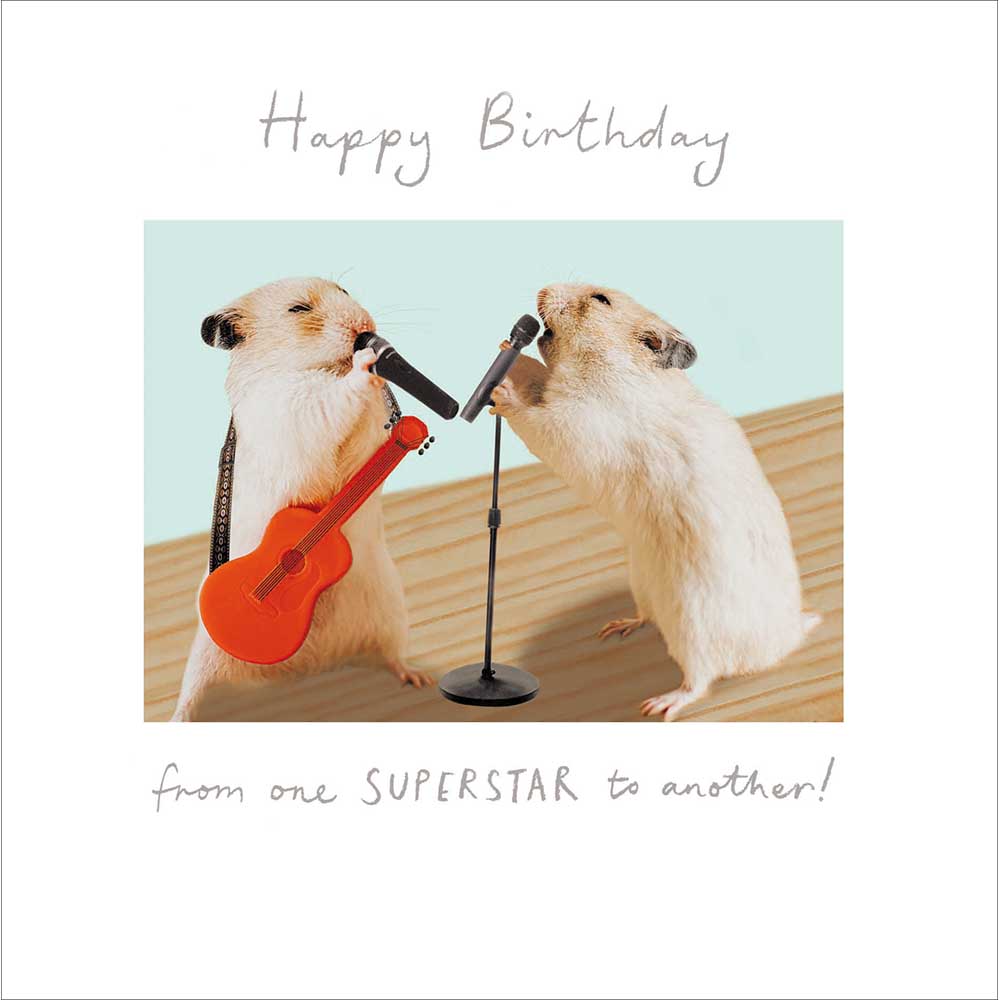 Woodmansterne Keep on Rocking Hamsters Birthday Card