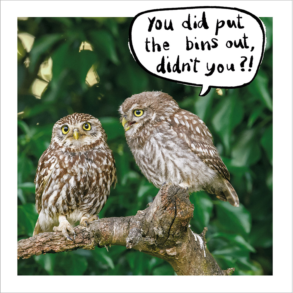 Woodmansterne Owls on a Branch Funny Blank Card