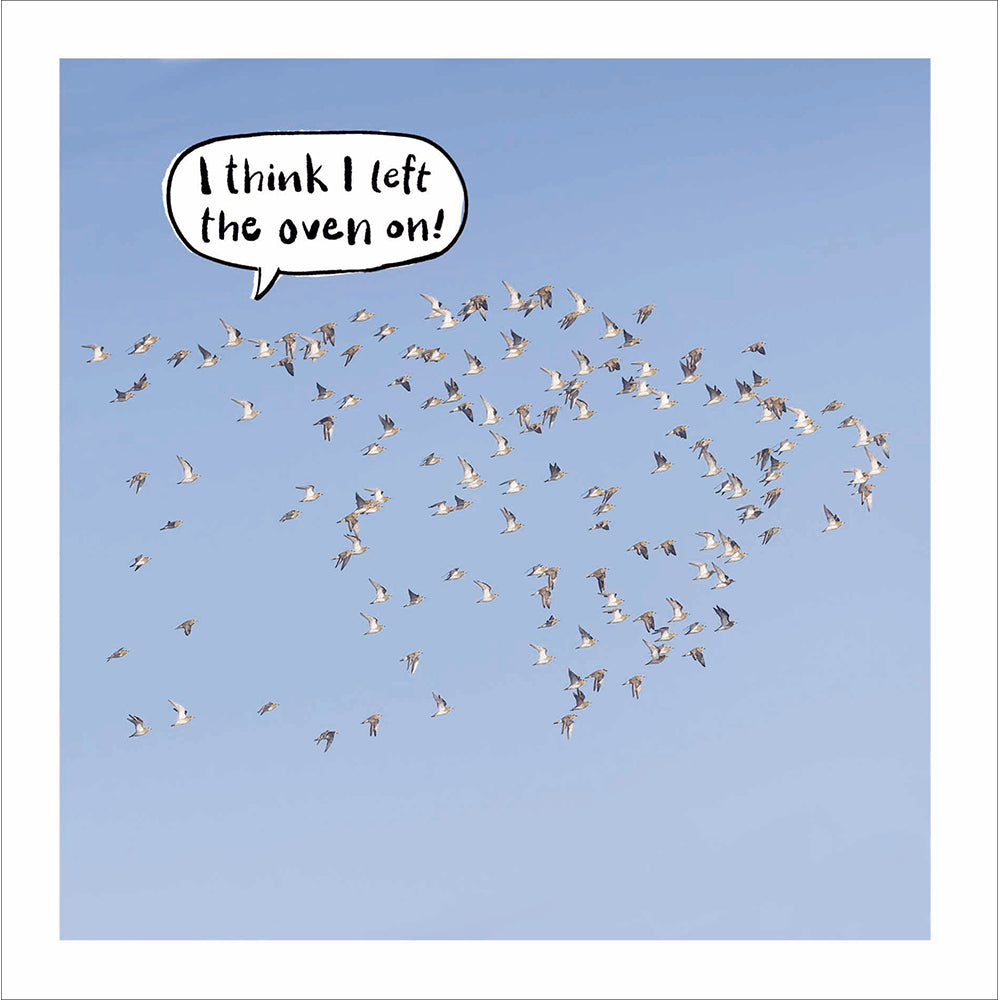 Woodmansterne Flock of Birds Funny Blank Card