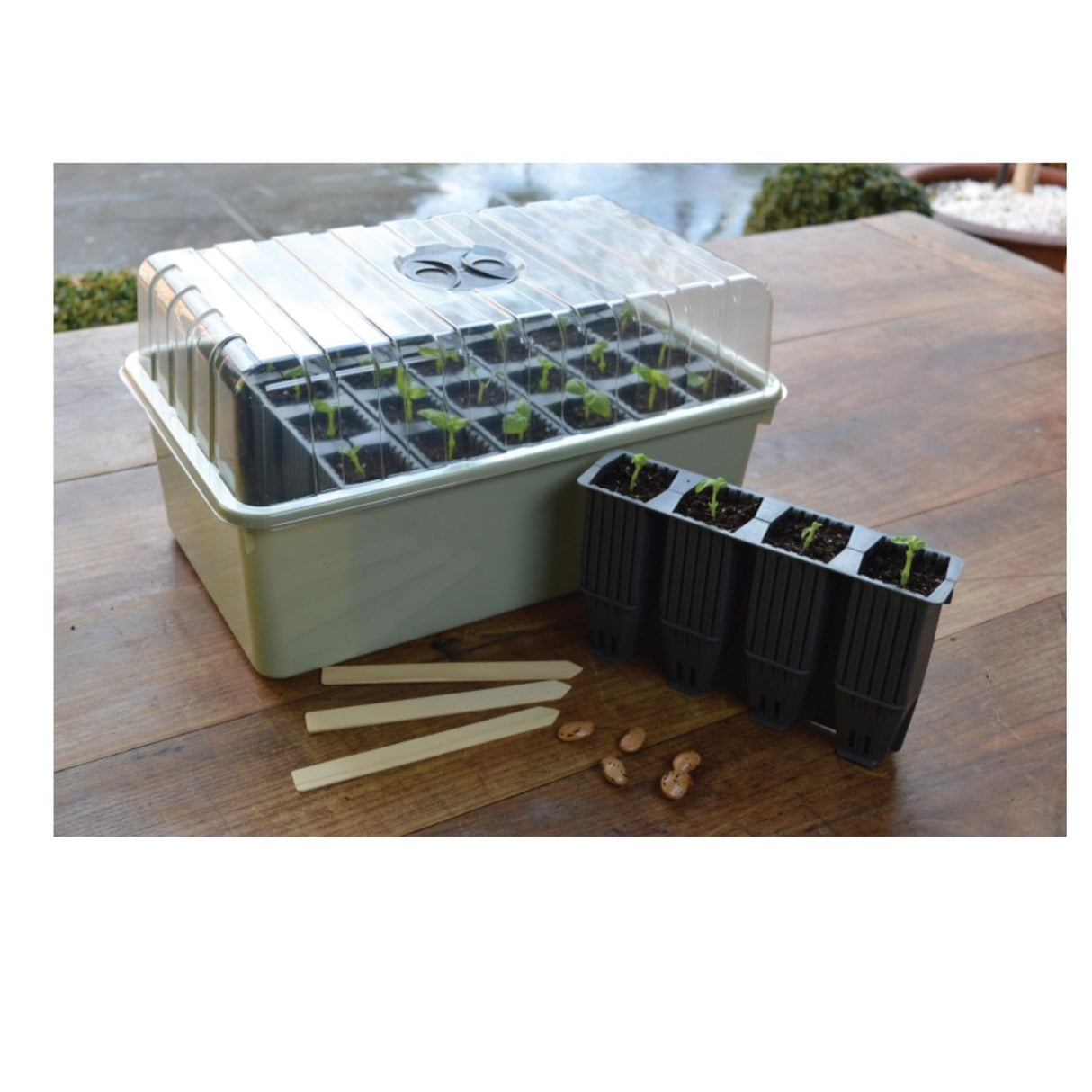 Garland 28 Cell Deep Root Success Kit