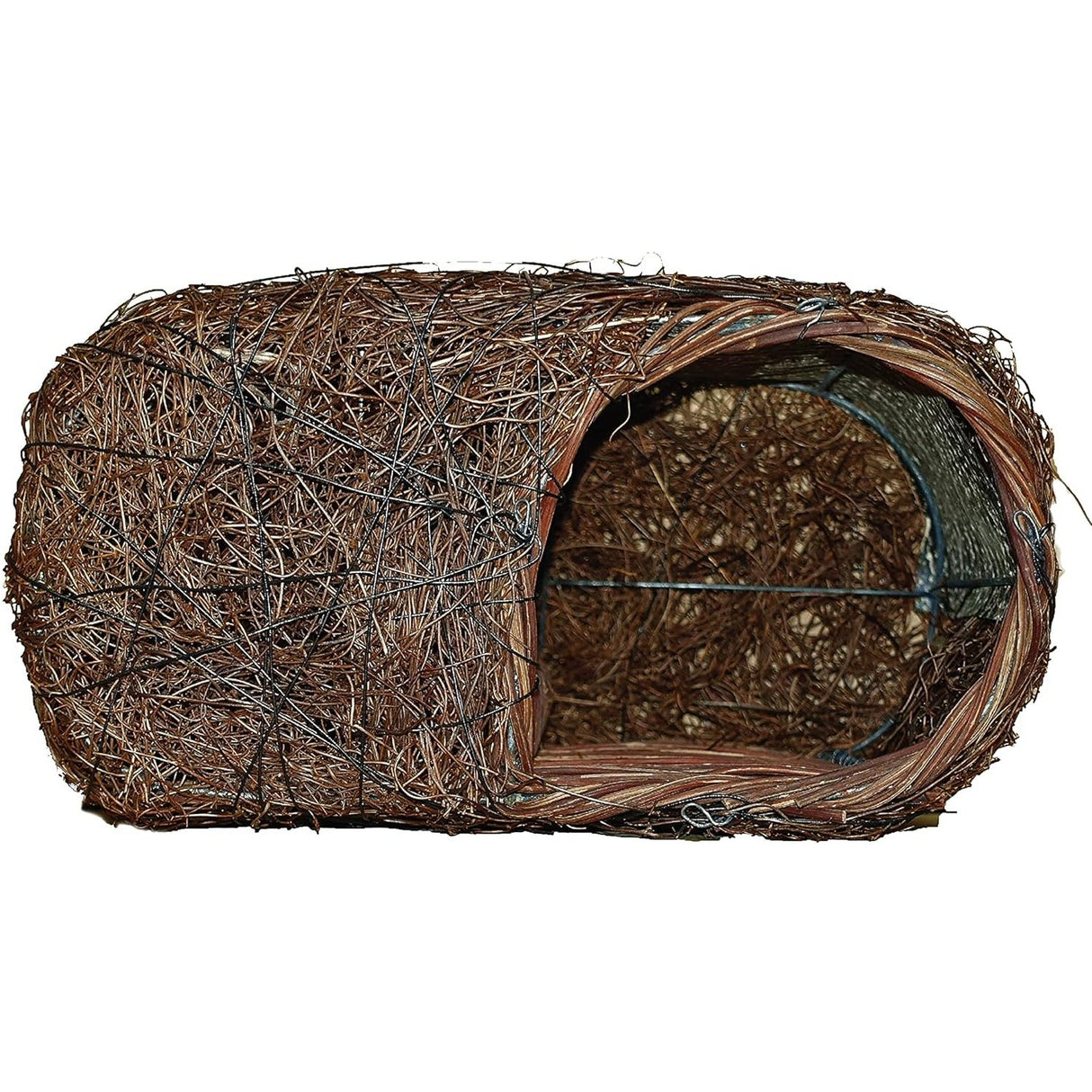 Wildlife World Simon King Brushwood Robin Nester