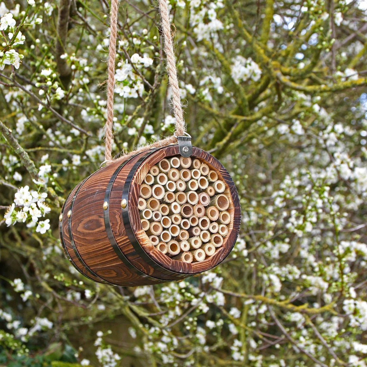 Wildlife World 18cm The Bee Barrel