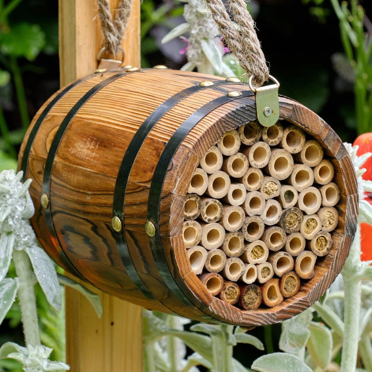 Wildlife World 18cm The Bee Barrel