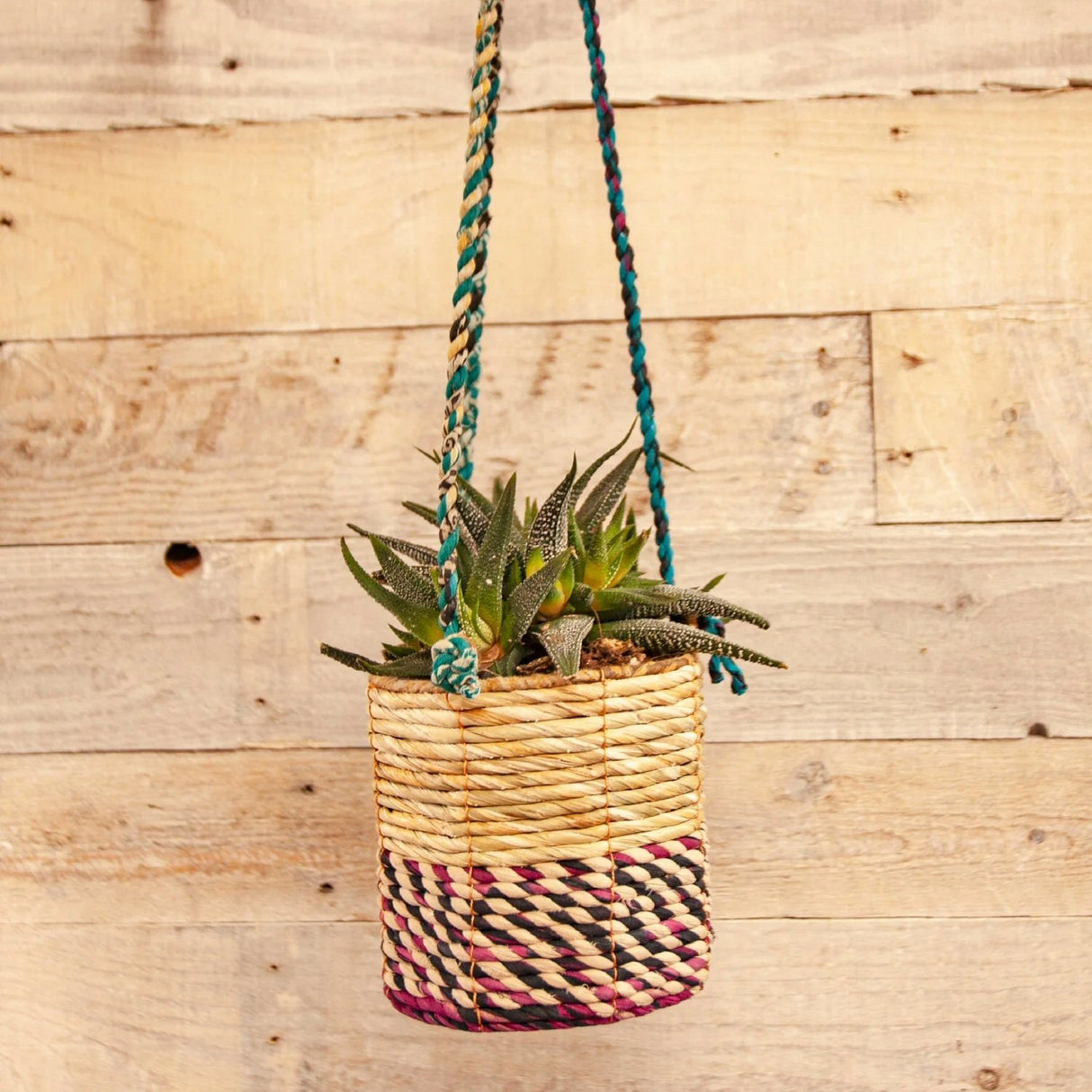 Wildlife World 12cm Small Cylindrical Artisan Hanging Plant Basket (Assorted Colours)
