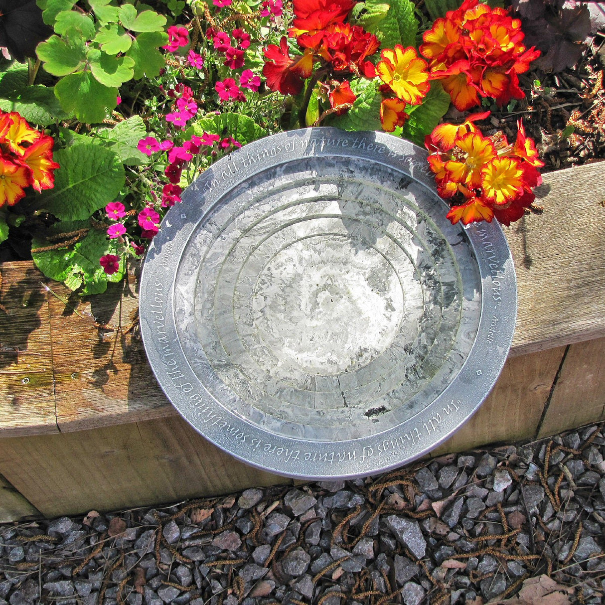Wildlife World 30cm Aristotle Oasis Bird Bath & Drinker