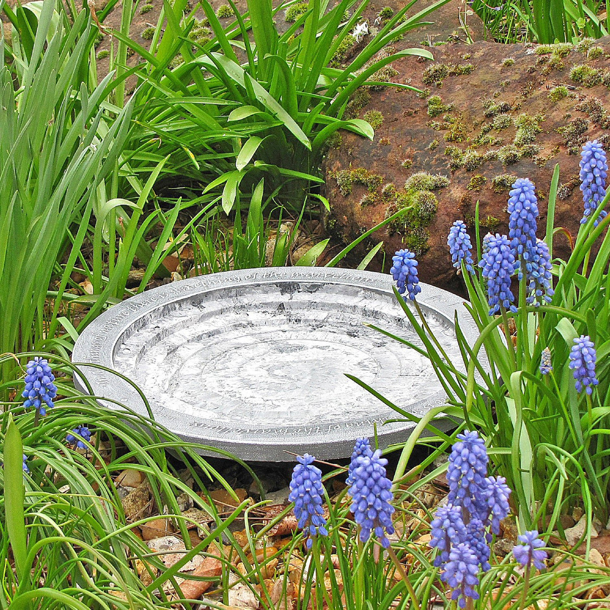 Wildlife World 30cm Aristotle Oasis Bird Bath & Drinker