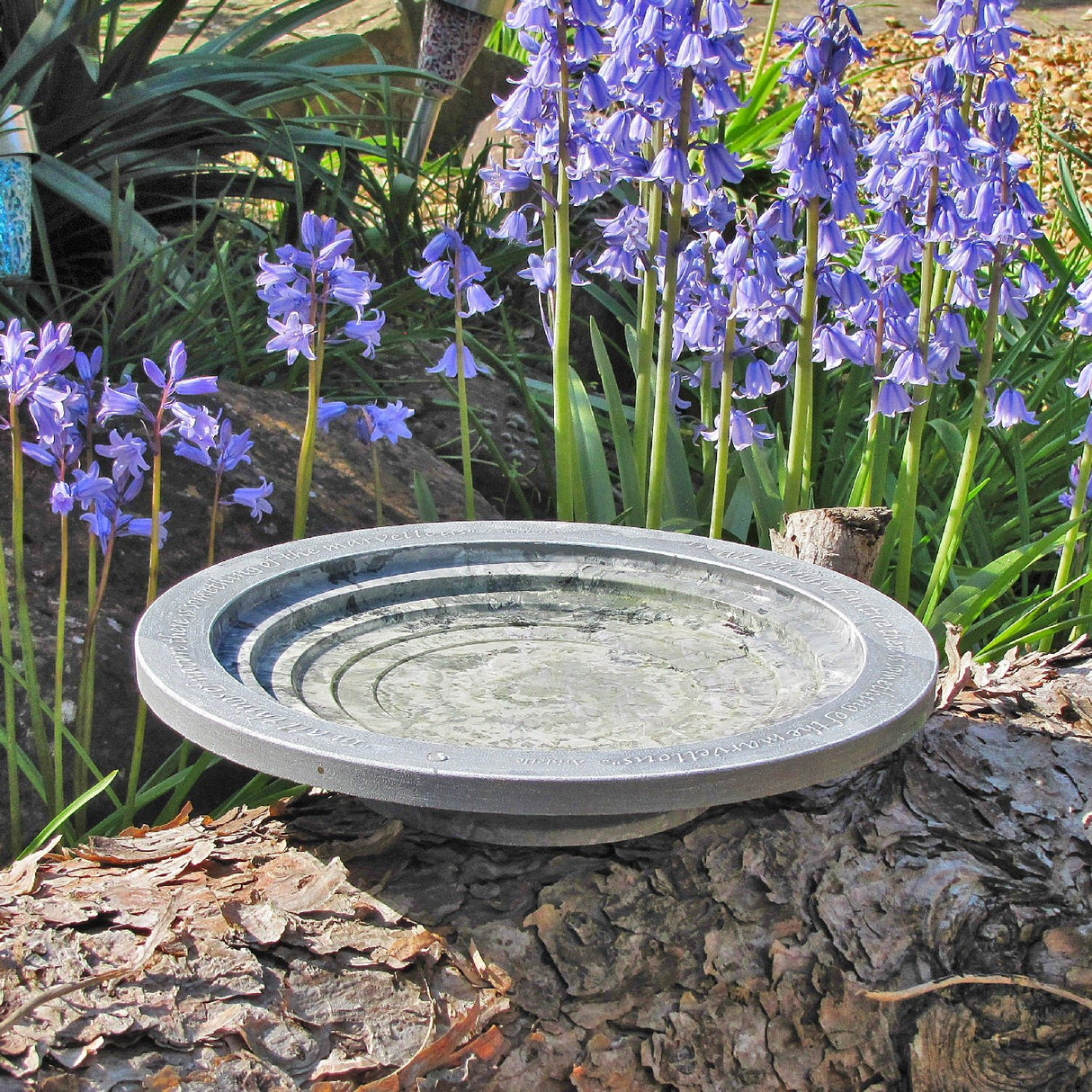 Wildlife World 30cm Aristotle Oasis Bird Bath & Drinker