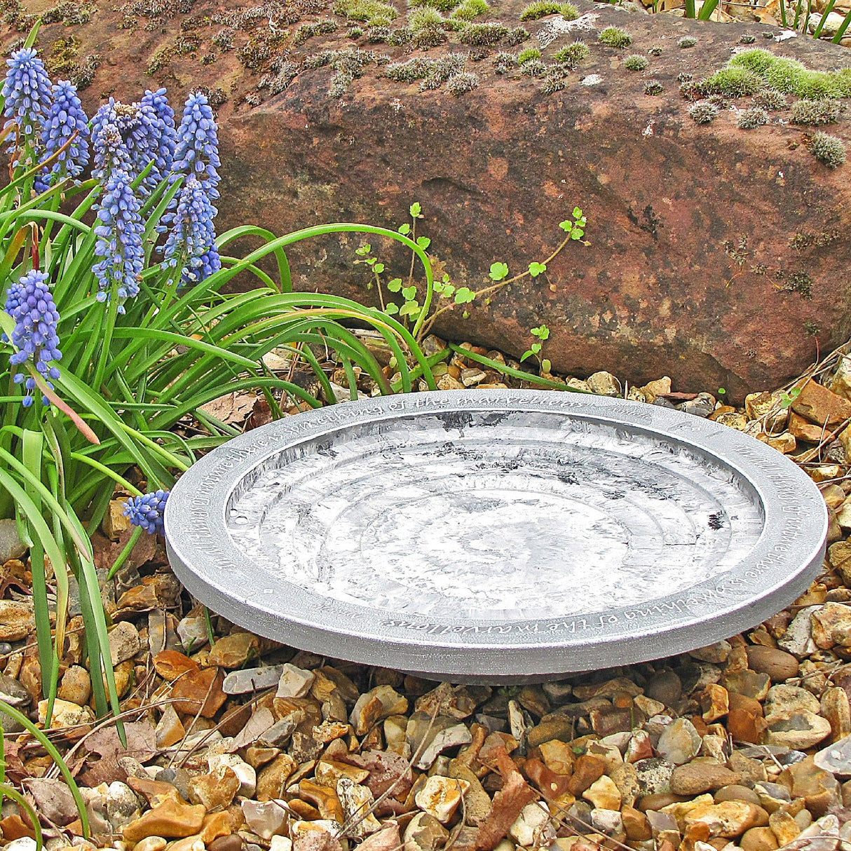 Wildlife World 30cm Aristotle Oasis Bird Bath & Drinker