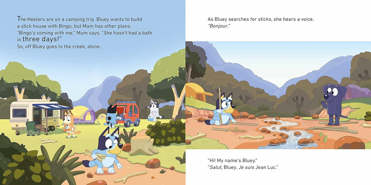 Bluey Camping Children's Book