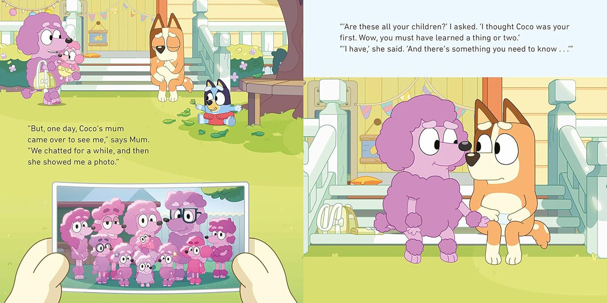 Bluey Baby Race Children's Book