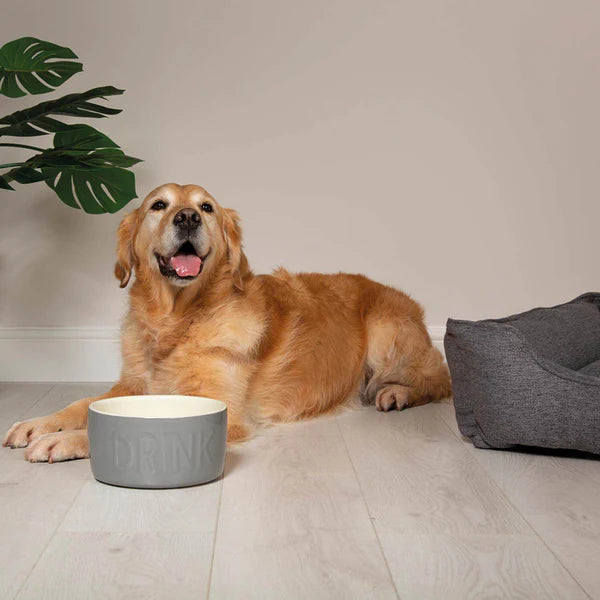 Scruffs Classic 20cm Stonewear Pet Water Bowl - Grey