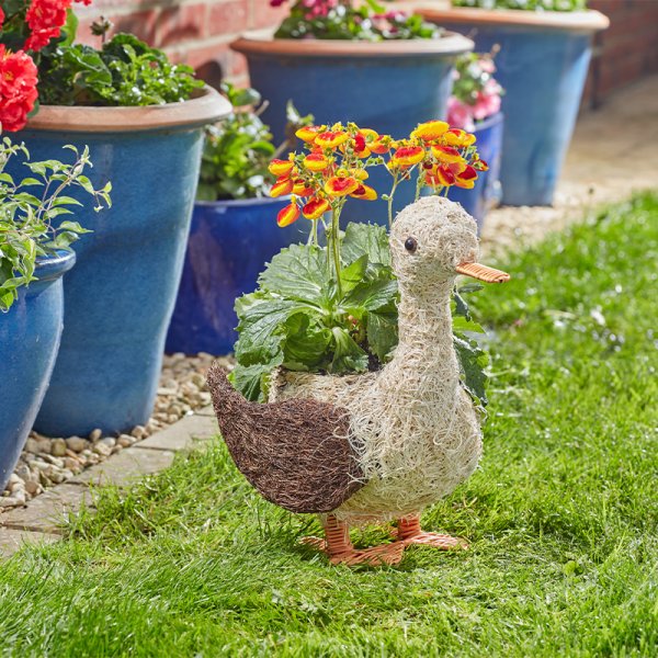 Smart Garden 34cm Daphne Duck Funimal Planters