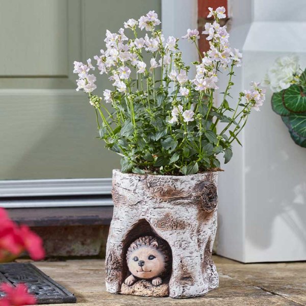 Smart Garden 18cm Hedgehog Log Planter
