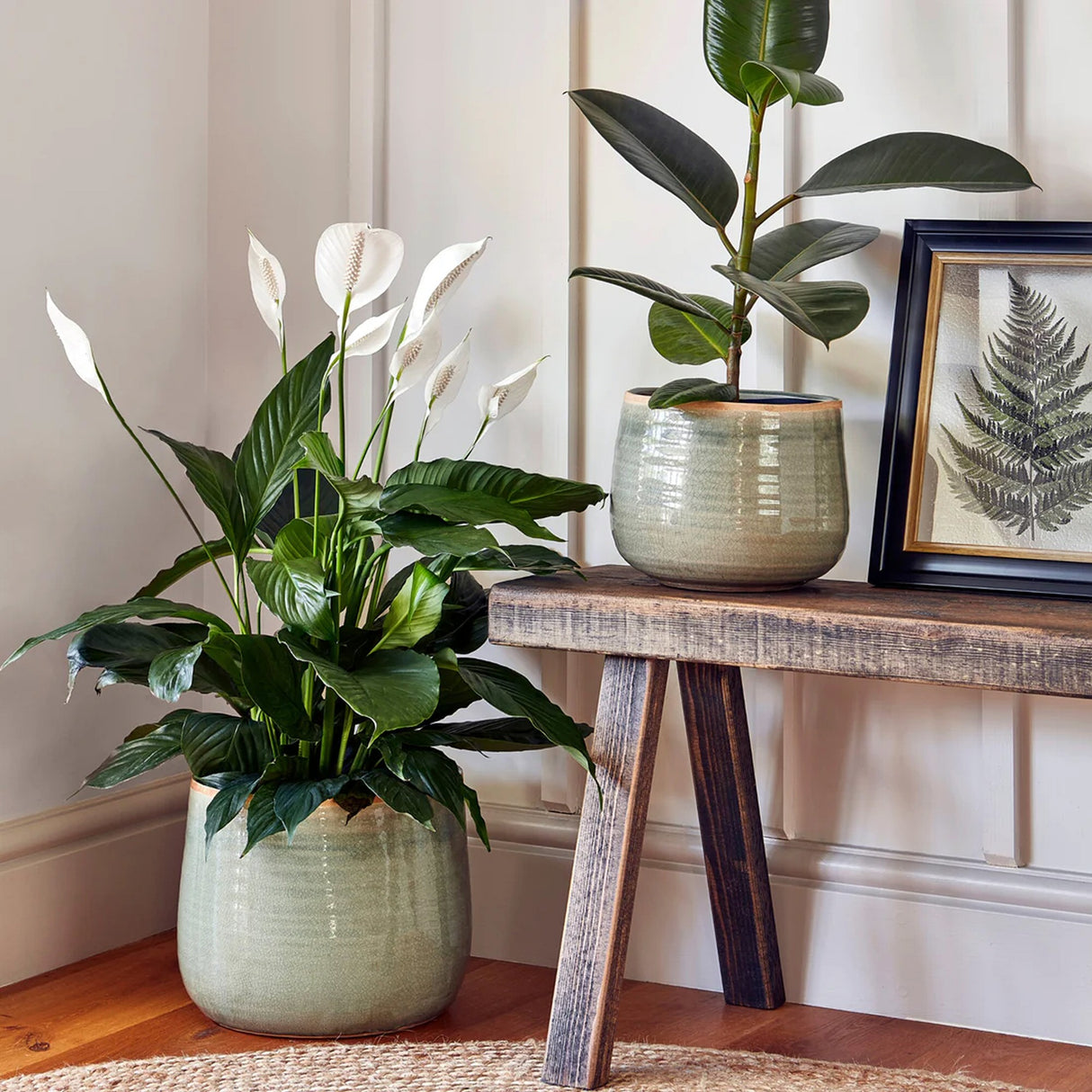 Ivyline 14cm Mint Como Planter