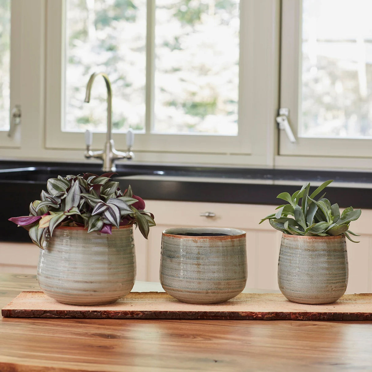 Ivyline 18cm Mint Como Planter