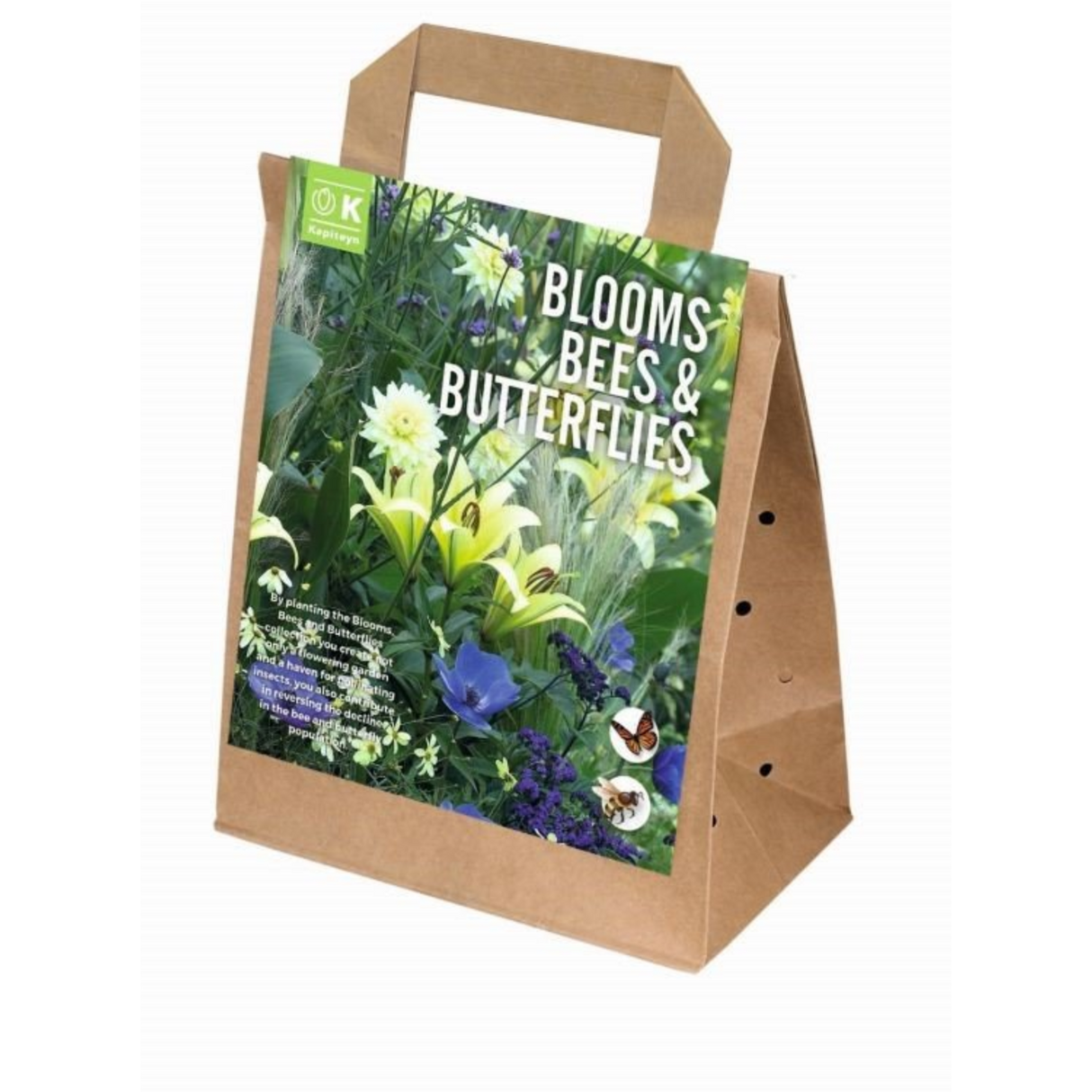 Kapiteyn 30 Blooms, Bee & Butterfly White & Blue