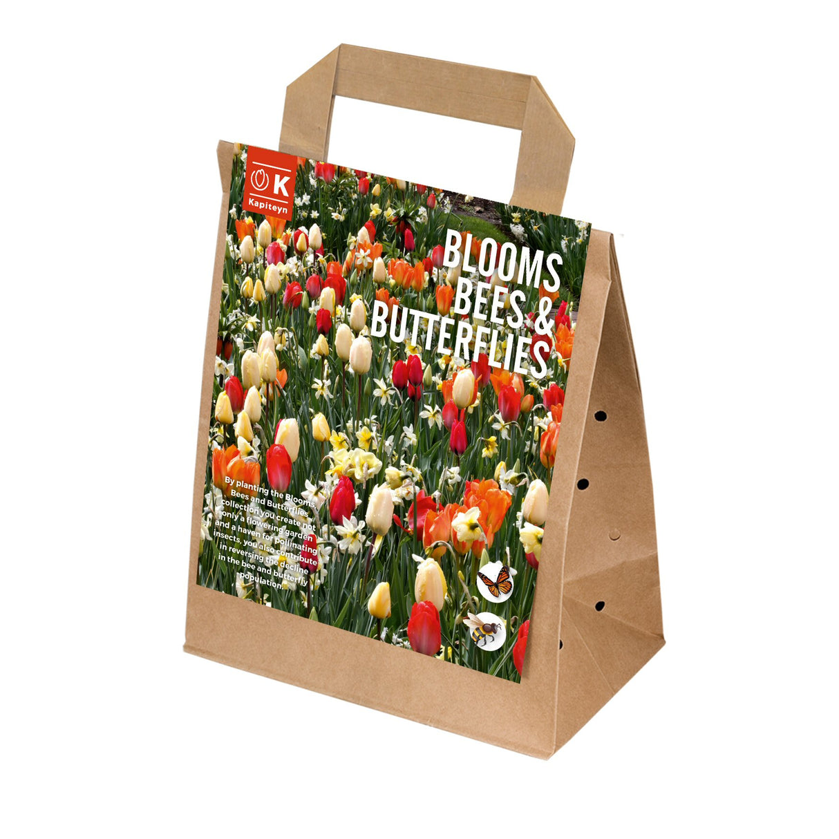 Kapiteyn 25 Sunshine Mix Blooms, Bees & Butterflies Landscape Garden Spring Flowering Bulbs