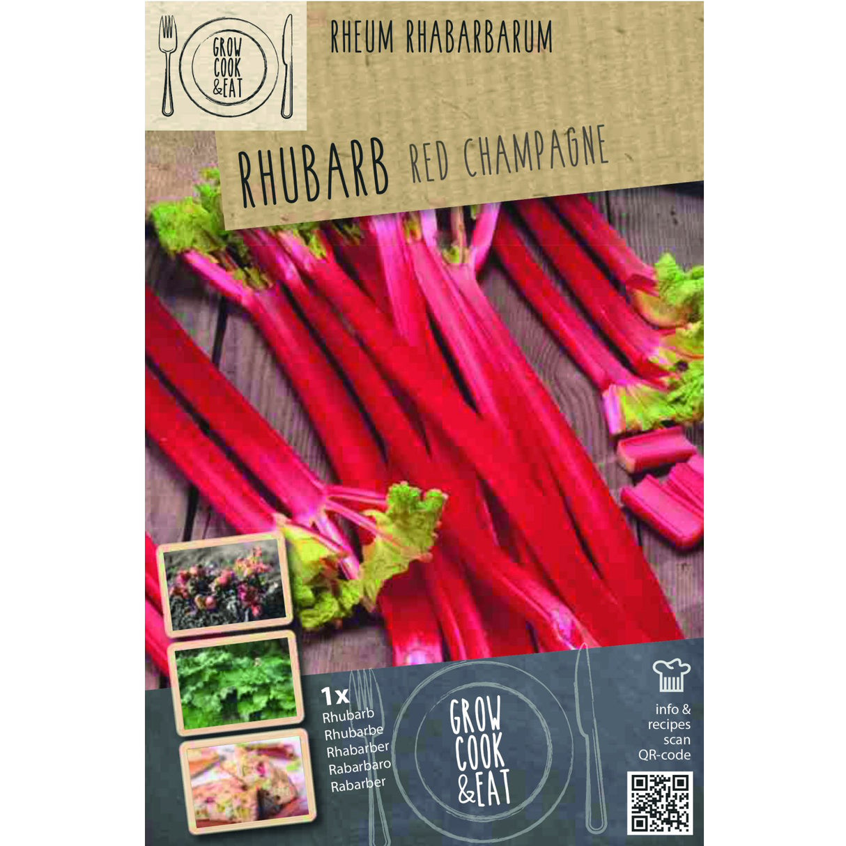 Rhubarb 'Red Champagne’ Kapiteyn Crown - Pack of 1