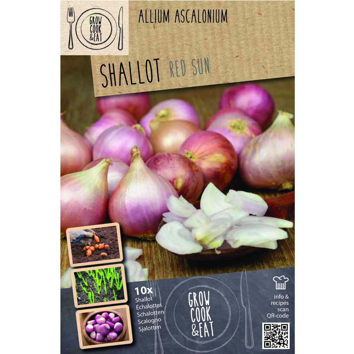 Kapiteyn Red Sun Shallot Sets - Pack of 10