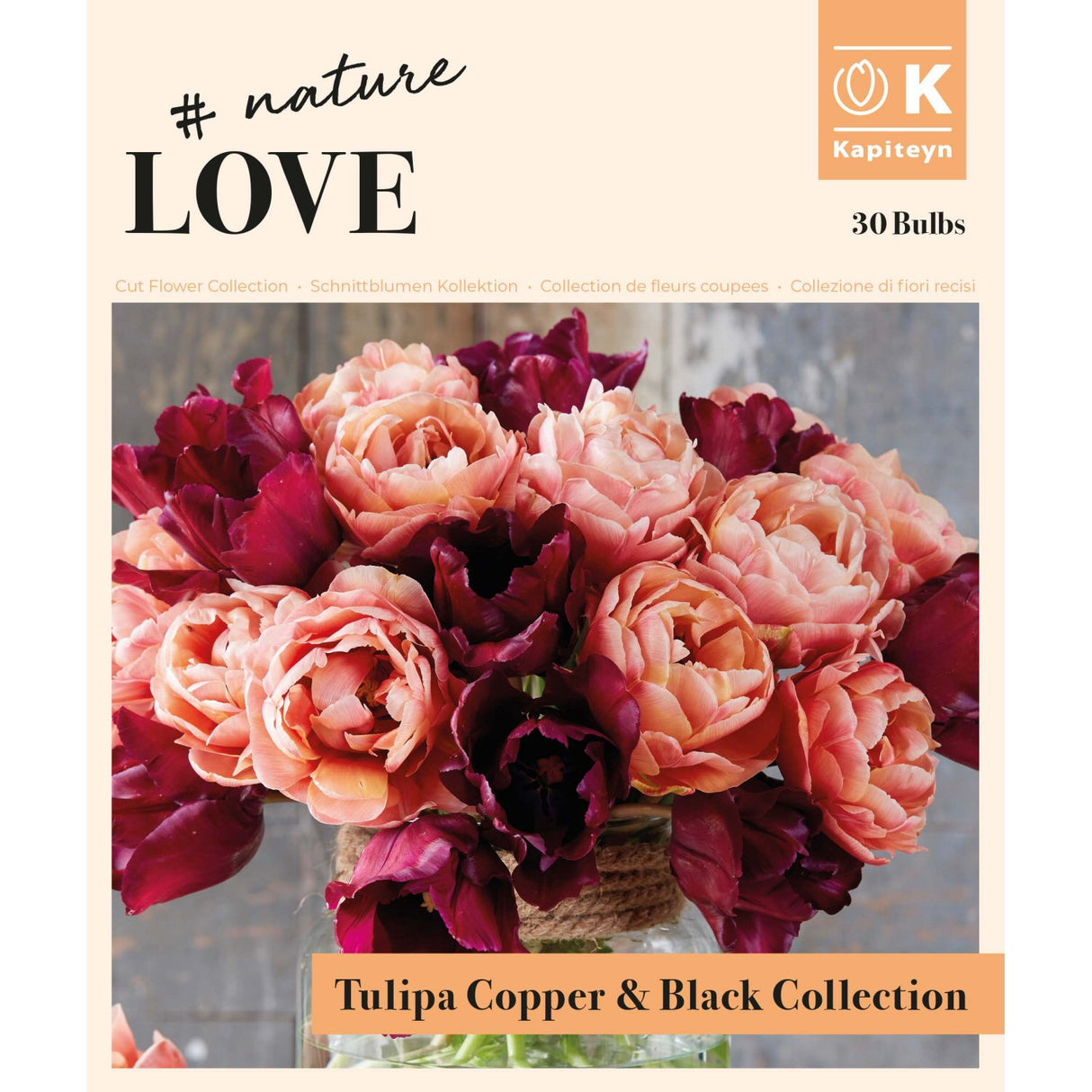 Kapiteyn 30 Copper & Black Tulip Bulb Bouquet Mix Spring Flowering Bulbs