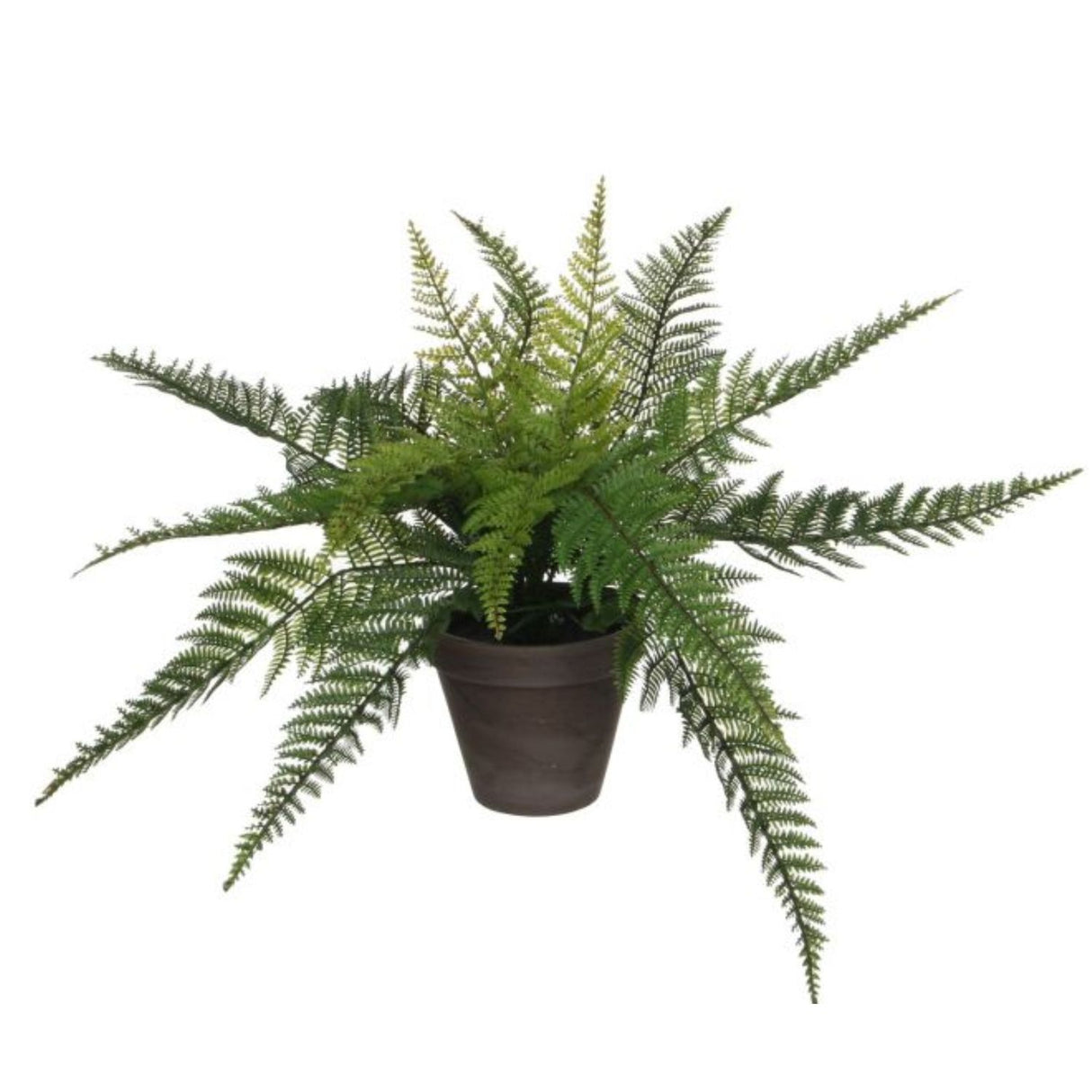 Mica Decorations 50cm Green Artificial Fren in Pot