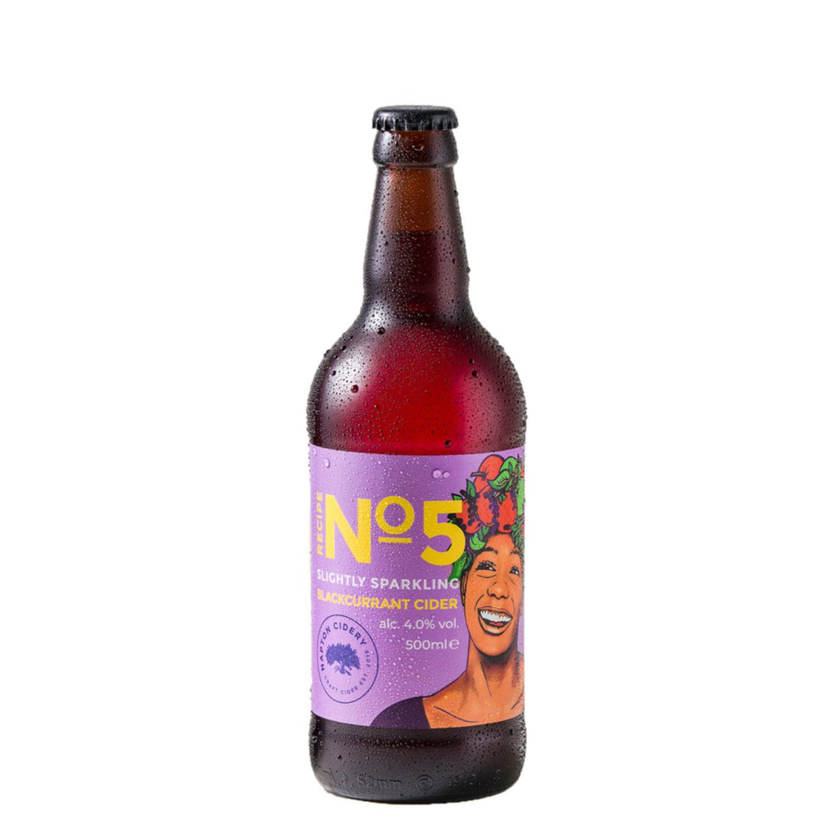 Napton Cidery Blackcurrant Cider 500ml