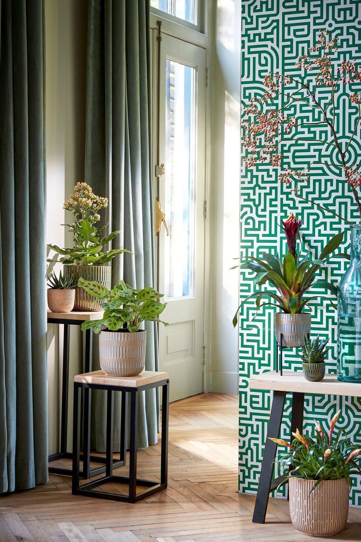 Mica Decorations 11cm x 12cm Green Glaze Sara Round Indoor Pot