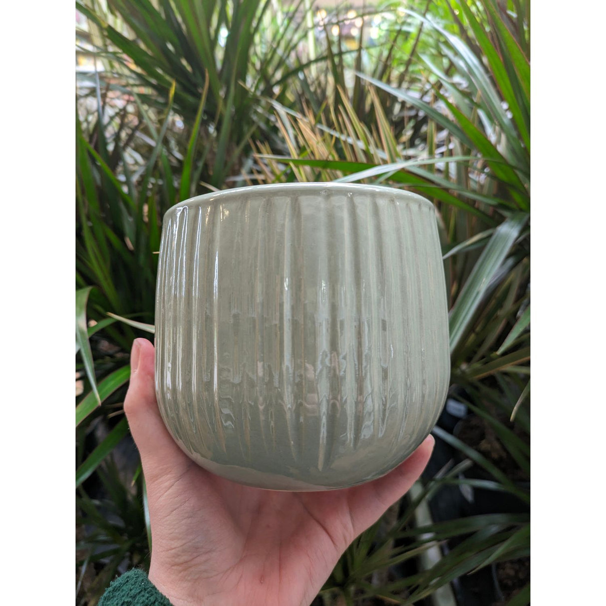 Mica Decorations 16cm Grey/Green Pablo Round Ribble Pot