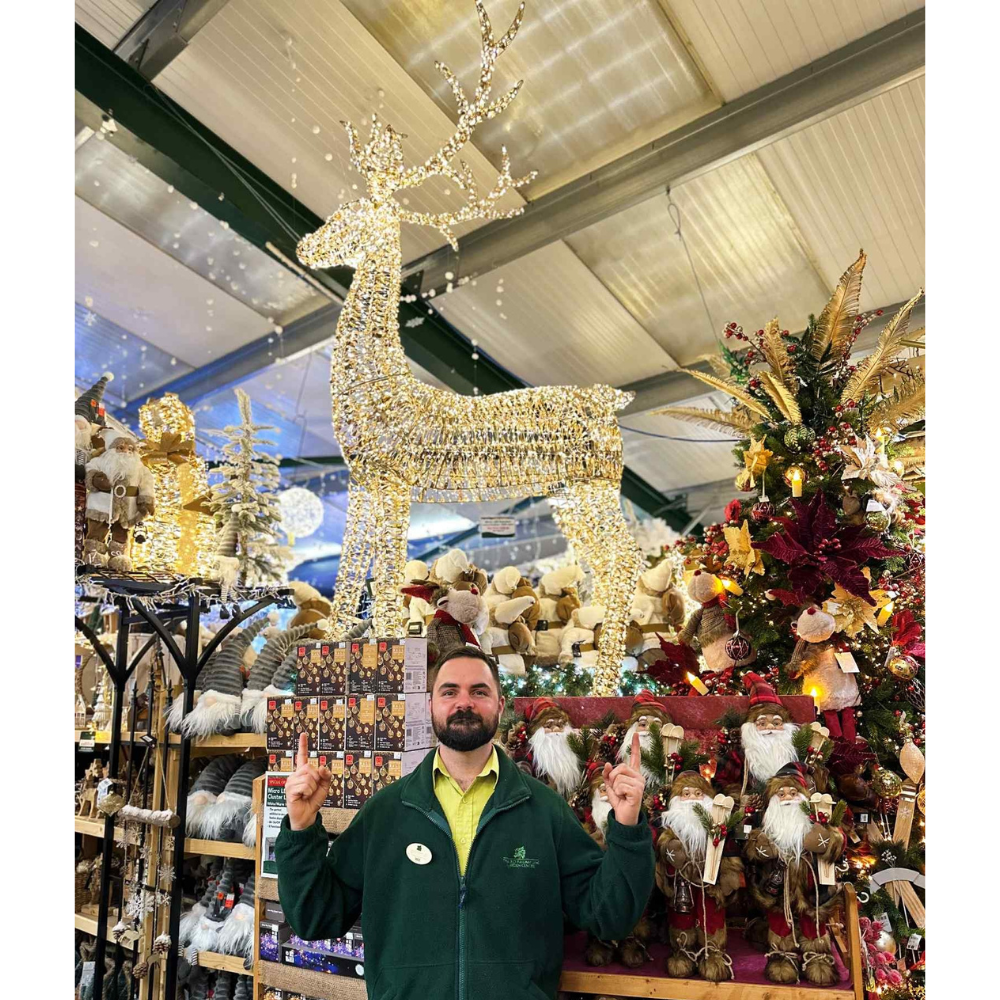 Lumineo 270cm Warm White LED Lit Gold Twist Frame Reindeer Decoration - 5,200 LEDs