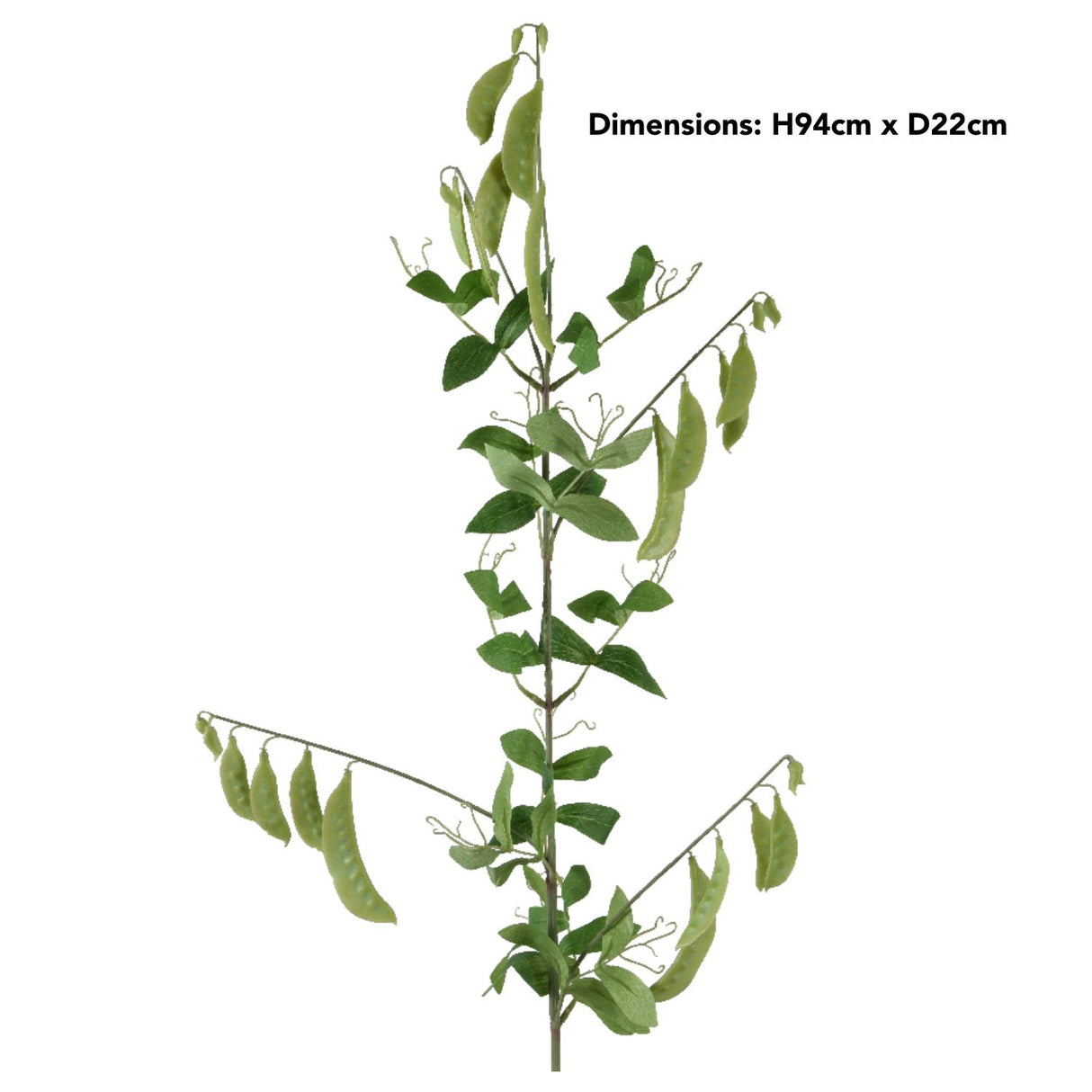 Decoris 94cm Green Artificial Peas on Stem Spray