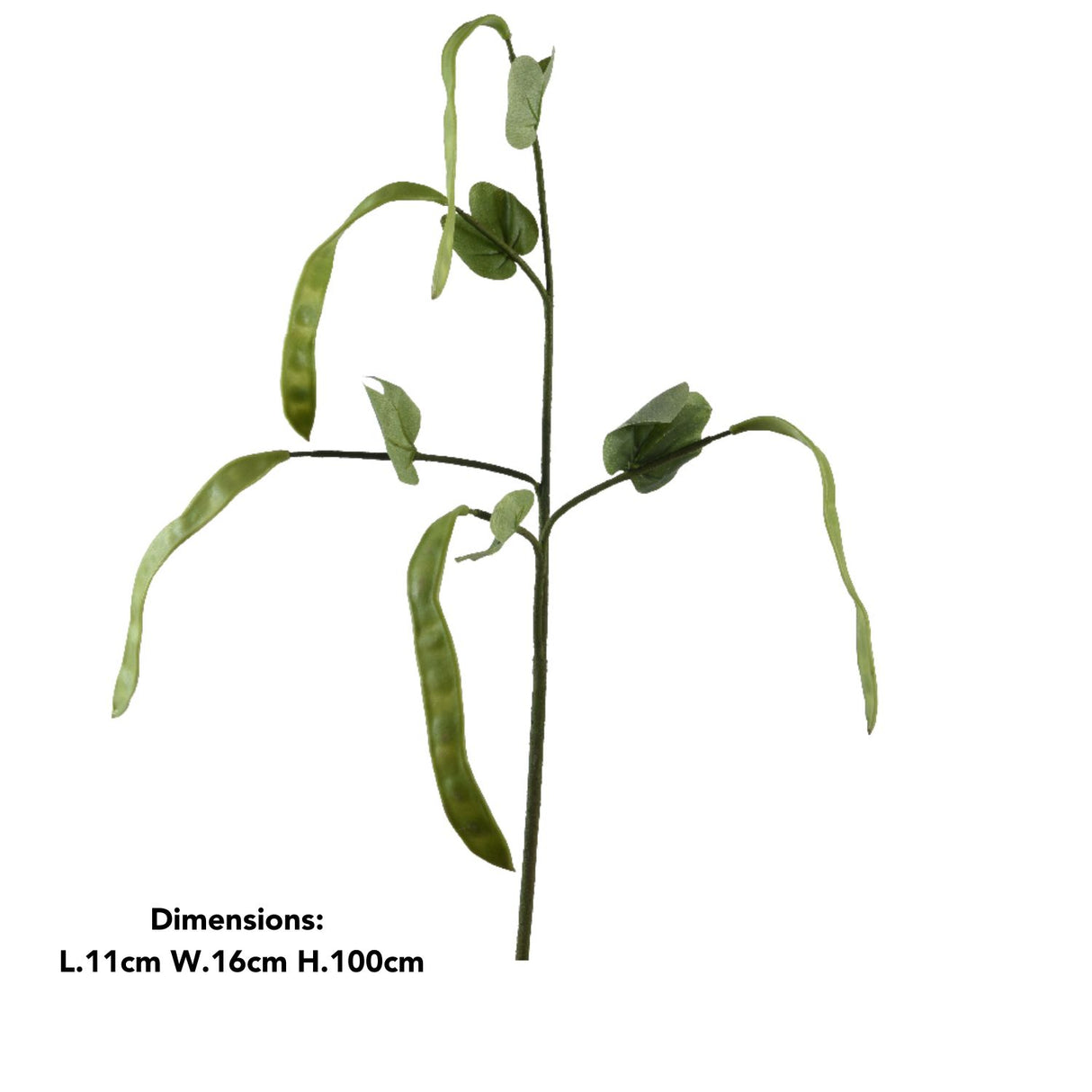 Decoris 100cm Green Artificial Beans on Stem Spray