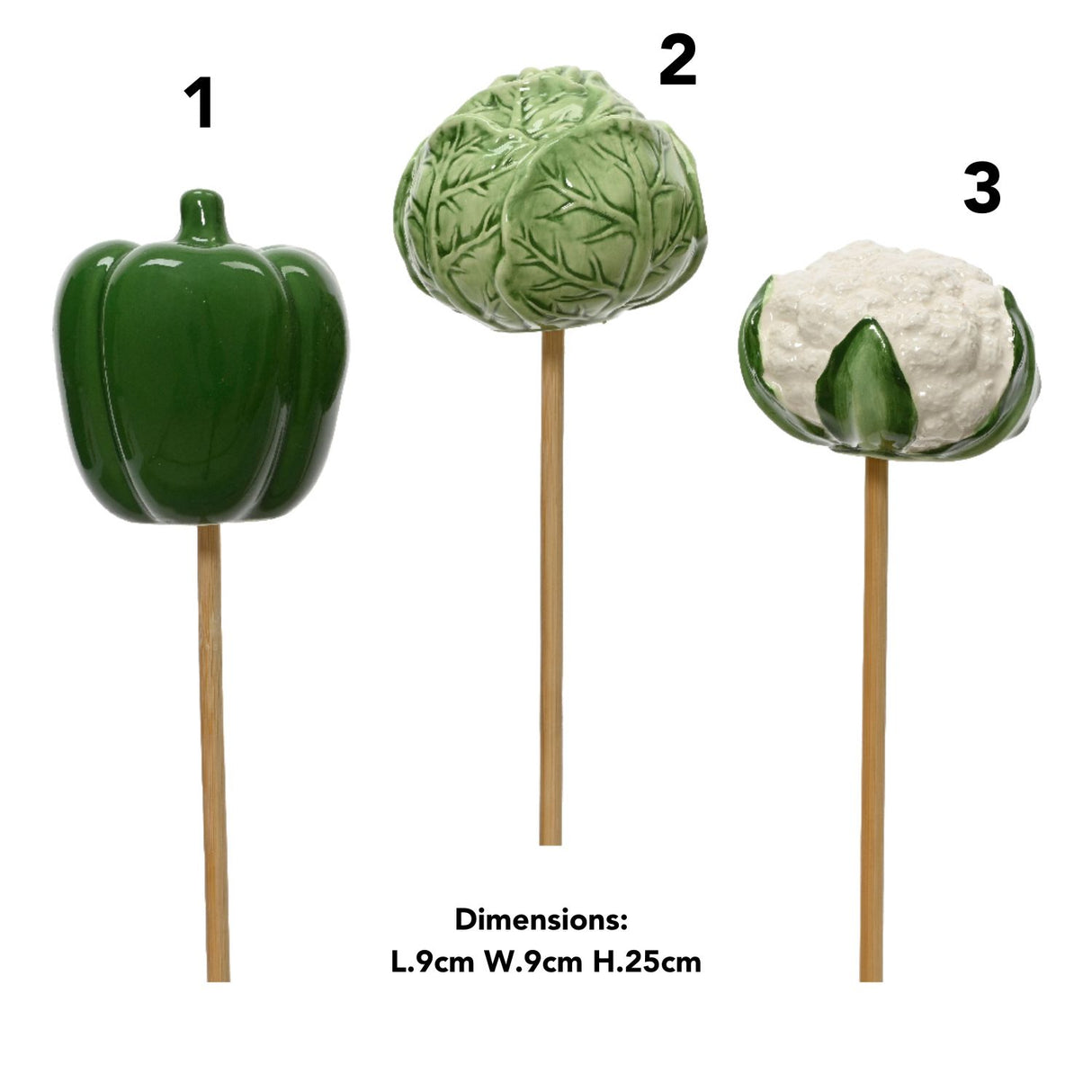 Decoris 25cm Porcelain Vegetable Picks (Choice of 3)
