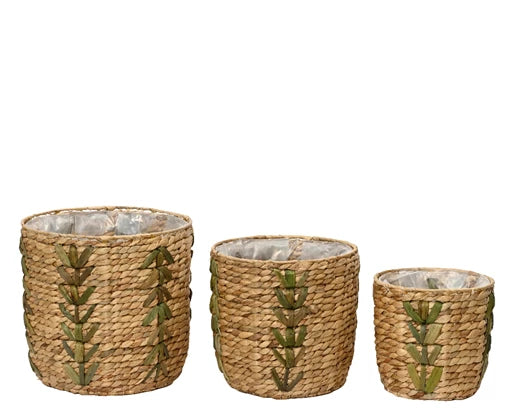 Decoris 28cm Planter Water Hyacinth