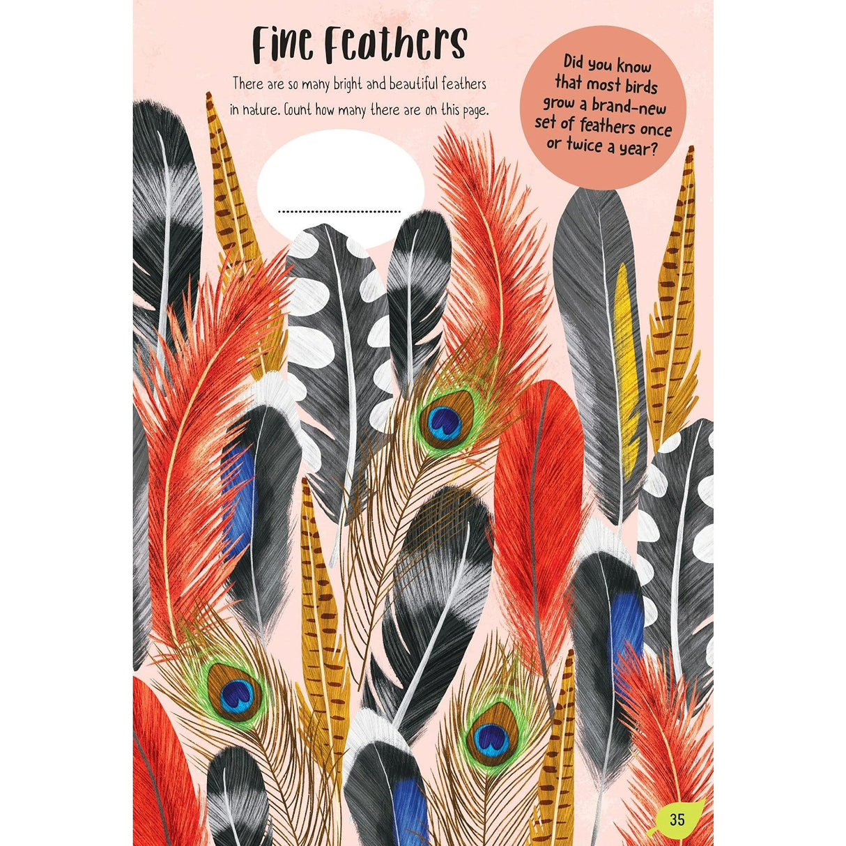 RHS My Magical Garden Children's Activity Book by Emily Hibbs & Mel Armstrong