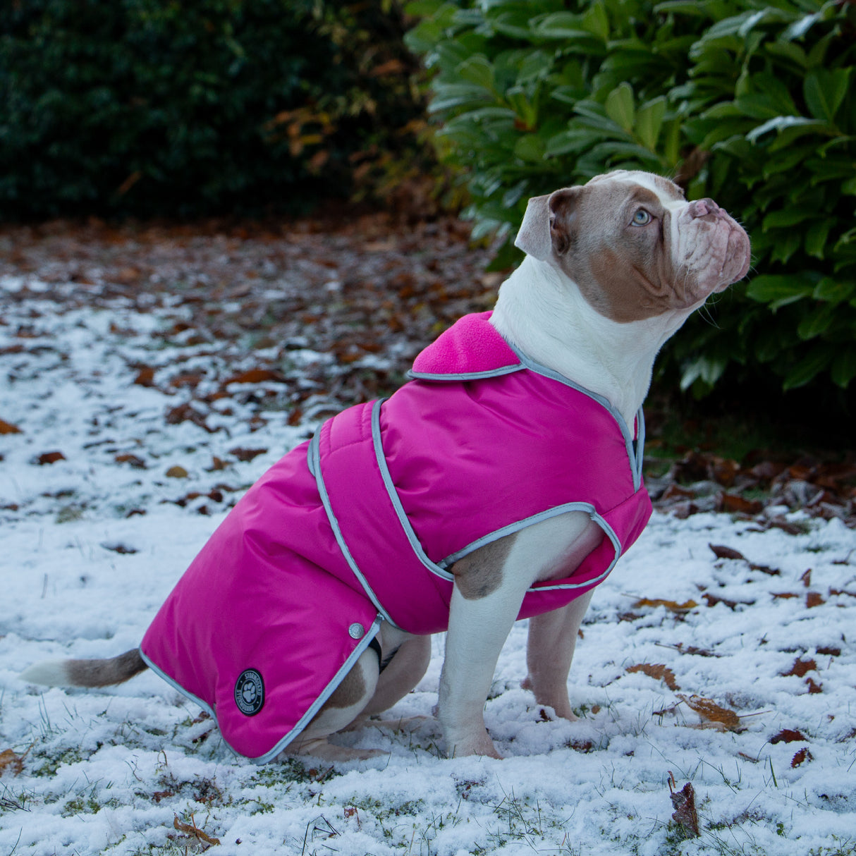 Ancol Pink Stormguard Dog Coat Small/Medium