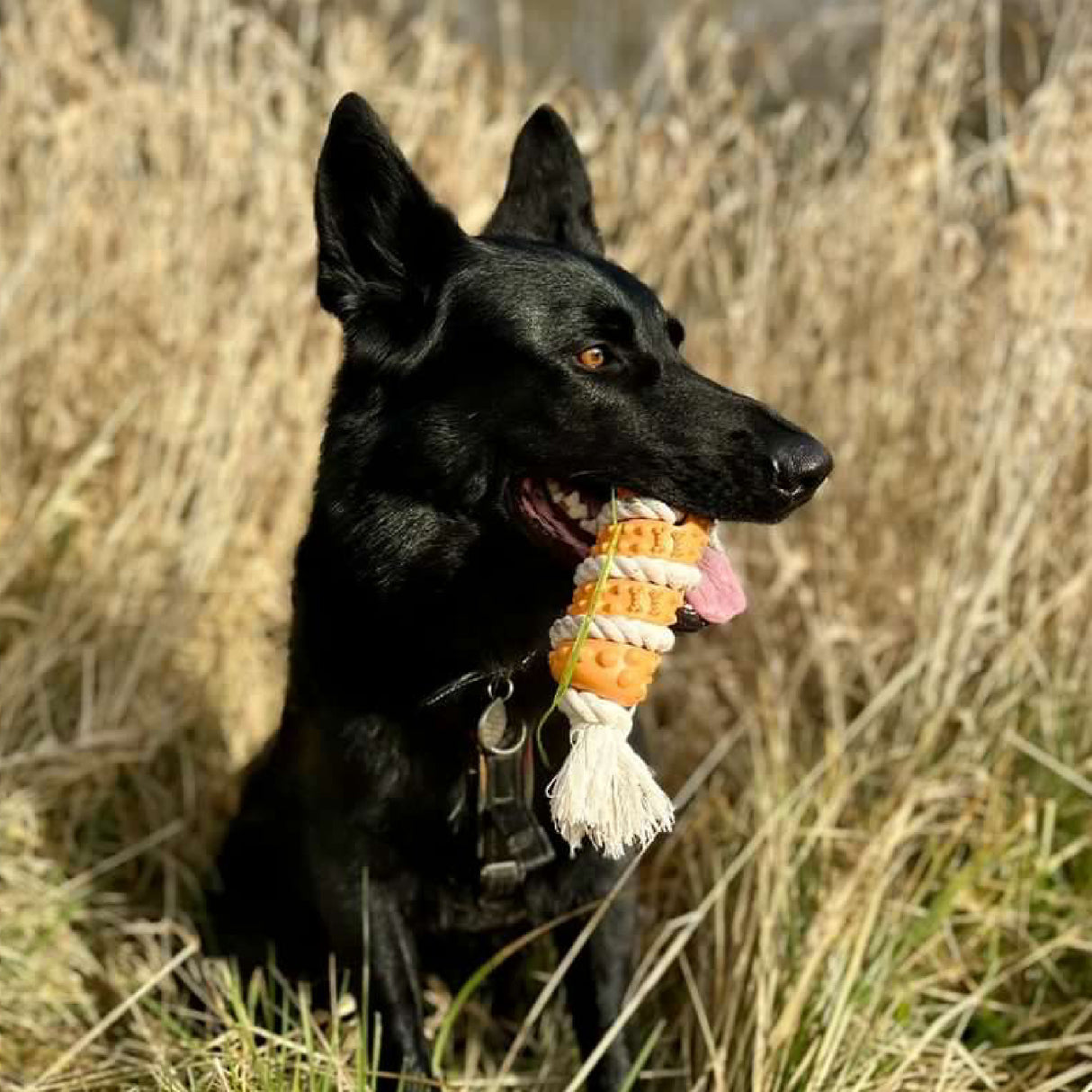 Ancol Eco-Friendly Rice Husk and Cotton Rope Tugger Dog Toy (Choice of 3)