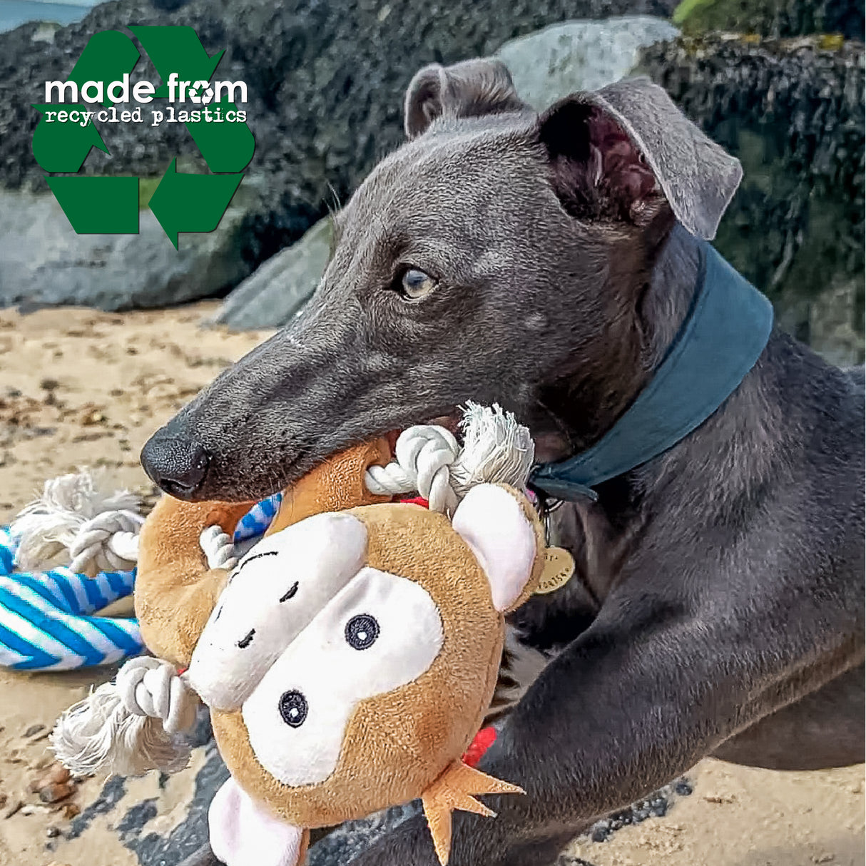 Ancol 26cm Eco-Friendly Recycled Squeeky Animal Dog Toy