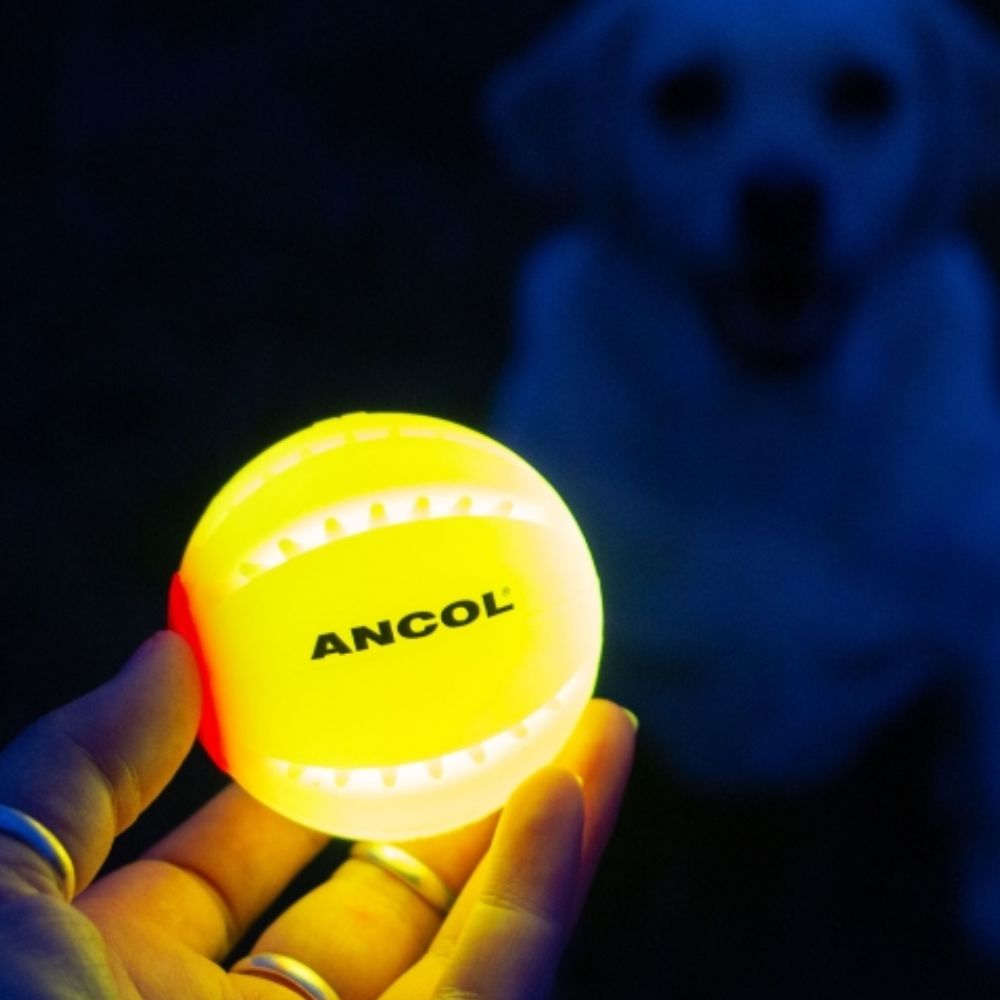 Ancol Rechargeable LED Yellow Ball