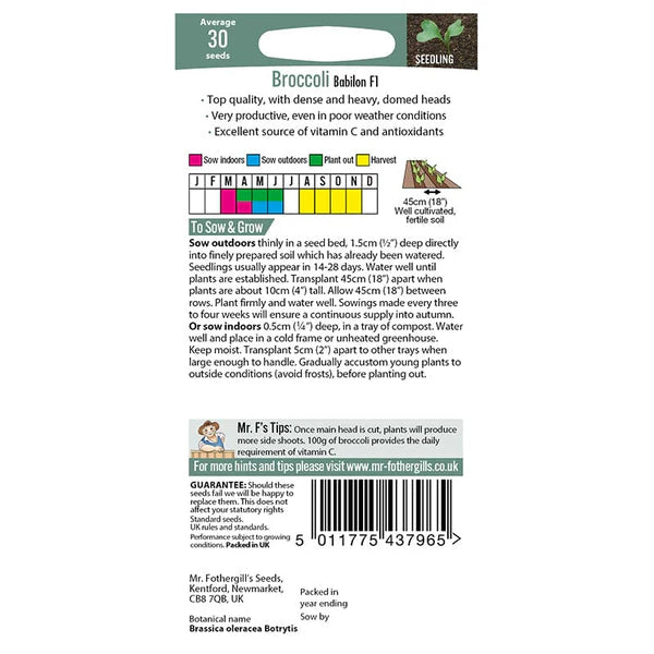 Mr Fothergill's Broccoli Babilon F1 Seeds