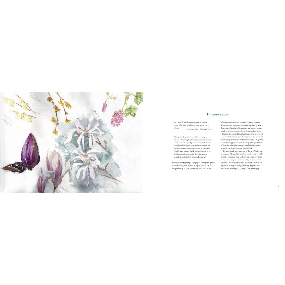 Brush with the Borders, A: An Artist’s Year Kathryn Moore