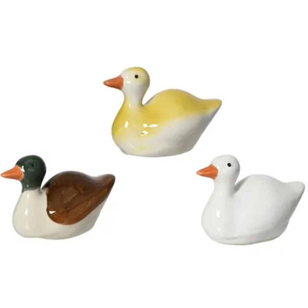 Decoris Porcelain Frog Shiny Duck Decoration (Choice of 3)