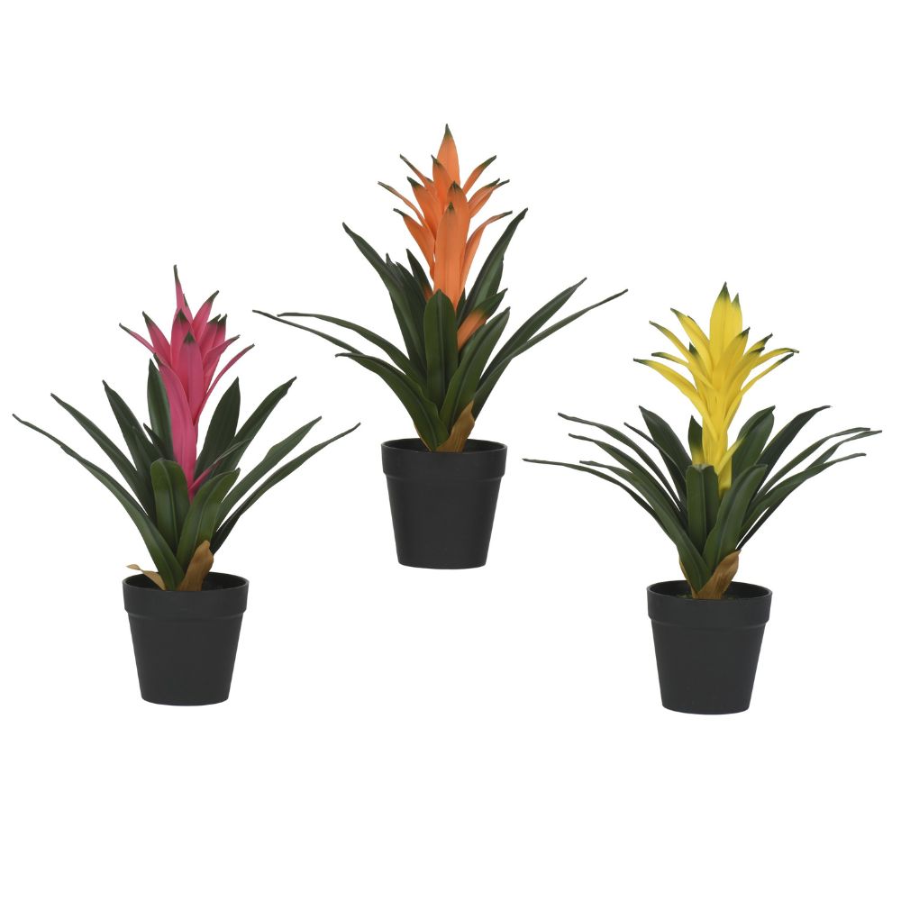 Everlands 32cm Artificial Bromelia in Black Plastic Pot (Choice of 3)