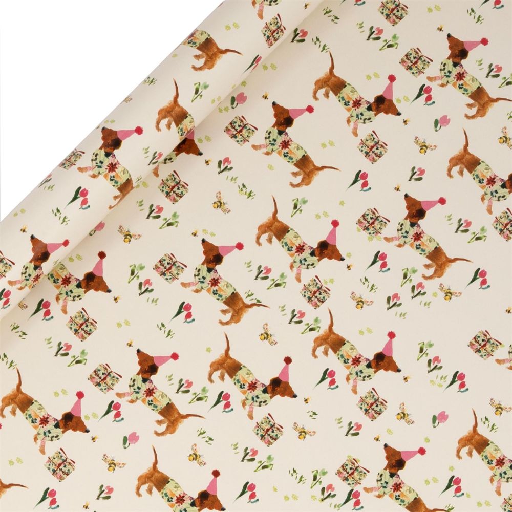 Glick 4m Sausage Dog Birthday Wrapping Paper Roll - Cream