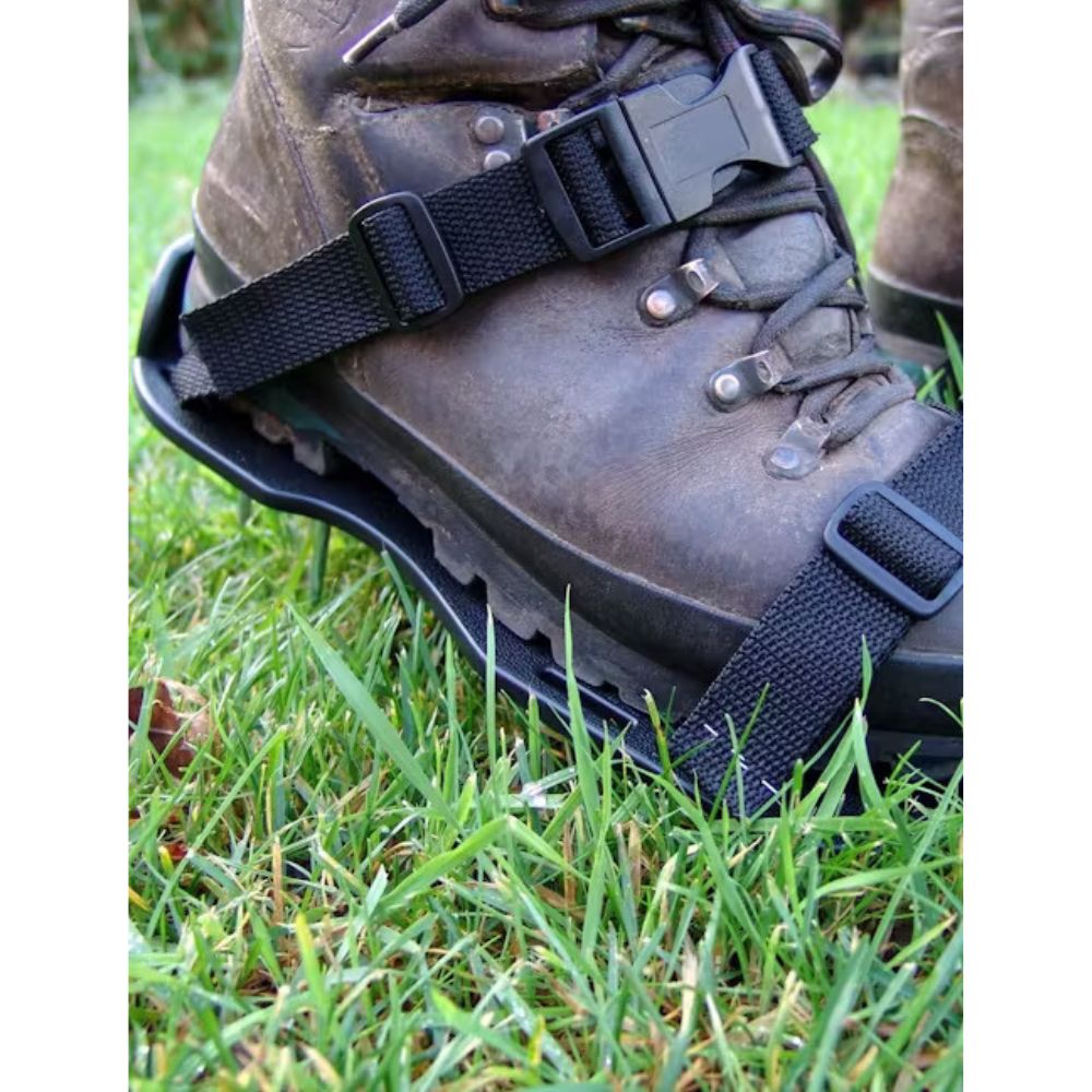 GreenKey Aerating Shoes