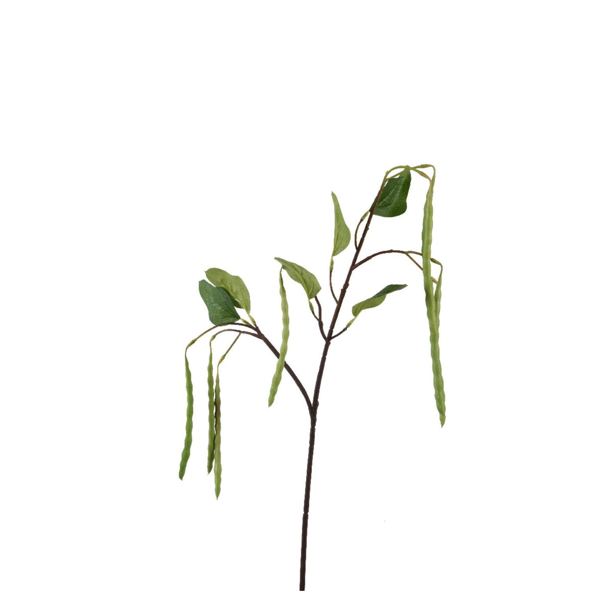 Kaemingk Artificial Phaseolus on Stem